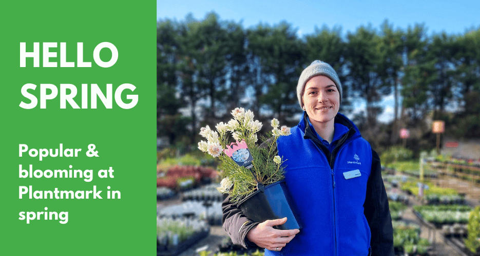 Top Spring Plants from Plantmark